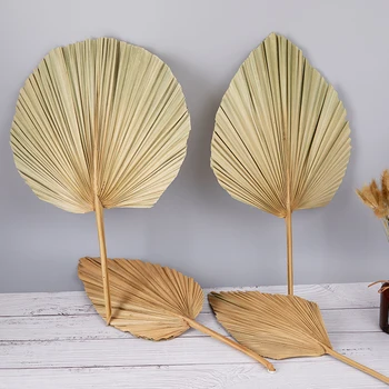 1tk DIY Palm Fänn Leht, Kuivatatud Lill Palm Leaf Aknas Vastuvõtu Poole Kunst Seina Riputamise Kaunistamiseks Pulmad Arch Kokkulepe
