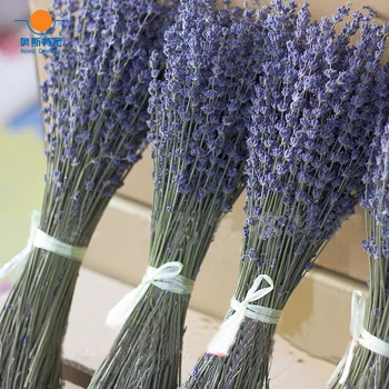 100g kuivatatud looduslikest lille kimp kuivatatud füüsiline Lavendel lille kimp&lavendel lille Kimbud